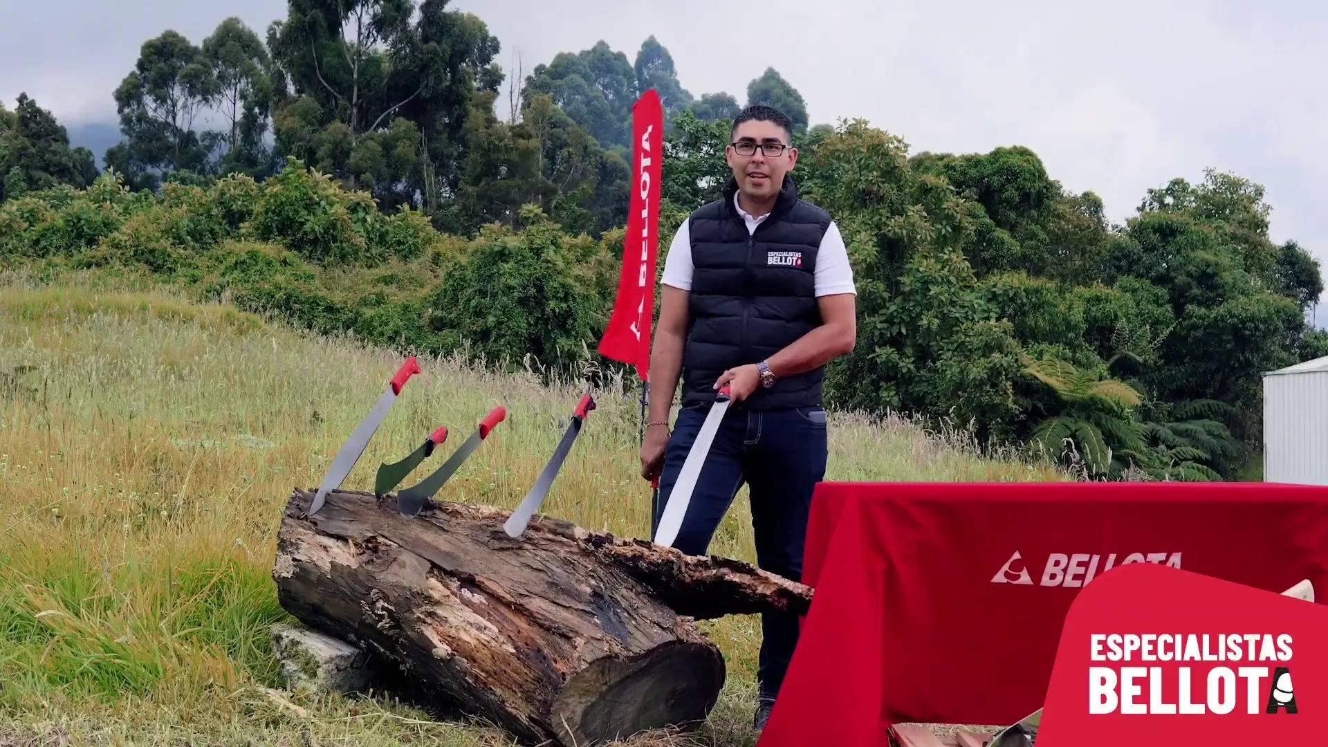 reglas de seguridad en el uso del machete