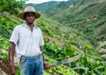 El machete en la agricultura de montaña, retos y soluciones prácticas