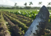 Machetes para agricultura, técnicas de afilado efectivas para un mejor rendimiento