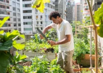 Machetes y agricultura urbana, explorando su utilidad en espacios reducidos