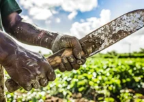 Tipos de empuñaduras en machetes y su importancia para labores agrícolas