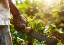 Cómo elegir el mejor machete para diferentes tareas agrícolas