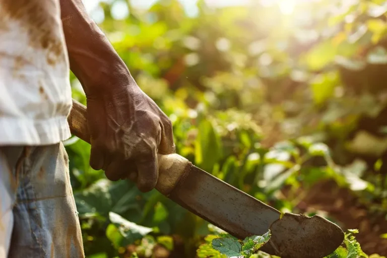 Como Elegir el Mejor Machete para Diferentes Tareas Agricolas