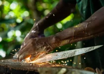 El arte de afilar machetes para un rendimiento óptimo en la agricultura, conoce las técnicas dominicanas