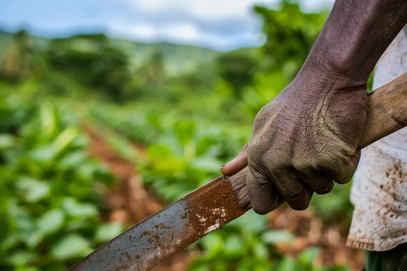 El Machete y su Papel en la Agricultura de Pequena Escala