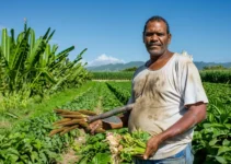 Formación en el uso del machete y su impacto en la agricultura dominicana