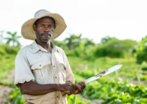 La guía del agricultor para el afilado y mantenimiento del machete ideal, consejos prácticos