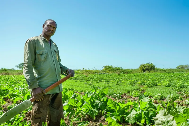 La Seleccion del Machete para la Agricultura de Conservacion Aspectos Clave