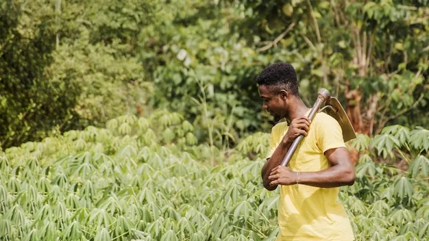 machetes y biodiversidad, cómo preservar el hábitat agrícola en república dominicana