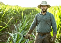 Técnicas seguras para el manejo del machete en el campo, consejos esenciales